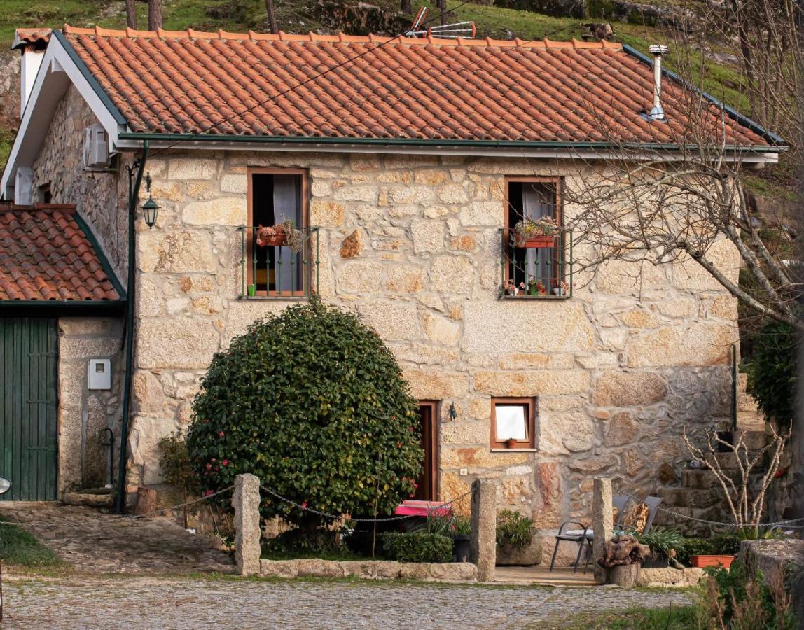 Casa Senhor Da Ponte Villa Mondim de Basto Bagian luar foto